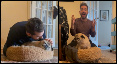 Make “No Bones” about it – this dog has taken over TikTok