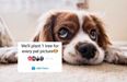 Who started the ‘plant one tree for every pet picture’ trend on Instagram?