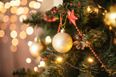 Ireland’s largest Christmas tree set to be unveiled to the public this week