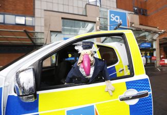 Bird flu confirmed in a turkey flock in Monaghan