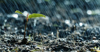 Status Yellow warning issued as heavy rainfall expected