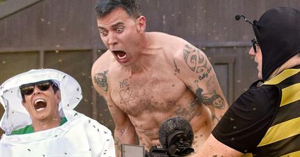 QUIZ: How well do you know Jackass?