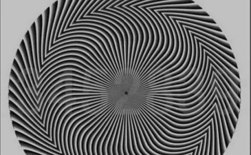 Everyone is baffled by this optical illusion showing different numbers