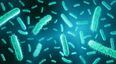 E. coli found in one in 20 private water supplies in Ireland, EPA warns