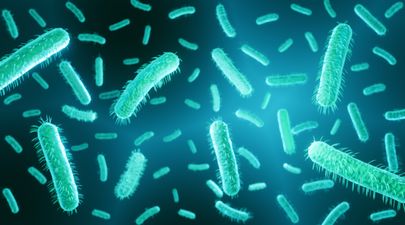 E. coli found in one in 20 private water supplies in Ireland, EPA warns