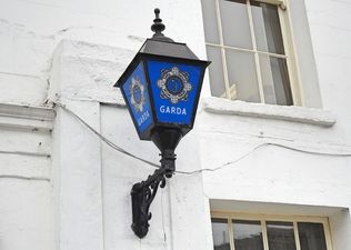 DSPCA discover second decapitated pet dumped in Dublin