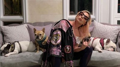 Man accused of shooting Lady Gaga’s dog walker and stealing her dogs mistakenly freed from jail