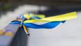 Irish primary school students could be taught Ukrainian this year