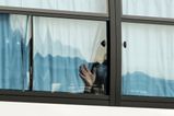 Belgium becomes first nation to introduce compulsory monkeypox quarantine