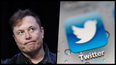 Twitter officially sue Elon Musk to force him into buying the platform