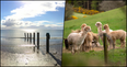 Making summer plans? These any-weather trips and activities are perfect for your next day out