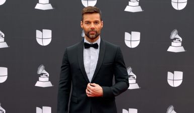 Ricky Martin shuts down claims of incest and domestic violence after restraining order