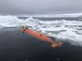 Huge glacier the size of Florida “holding on by its fingernails”