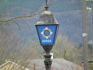 Woman killed in Limerick collision was travelling home from children’s party