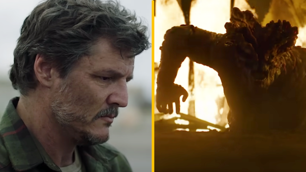 Last of Us TV show