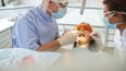 Irish dentist reveals common summer mistake that can lead to ‘health issues’