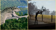 The free subscription games for PlayStation and Xbox in June