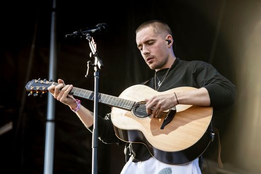 Dermot Kennedy urged to apologise for offensive term