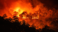 “Near certainty” that 2023 will be hottest year on record, say EU scientists