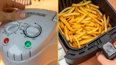 People are raving about this air fryer alternative