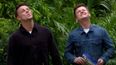 I’m a Celebrity is actually filmed in a ‘fake’ jungle with a roof over it