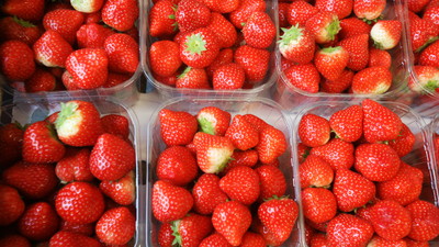 Dead mouse found in strawberries among thousands of Irish food safety complaints