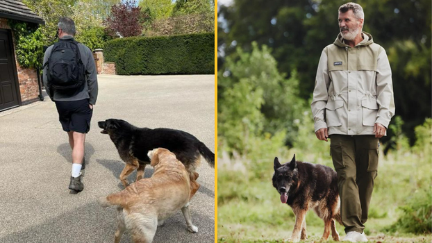 Roy Keane dog