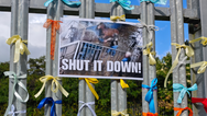 Horse abattoir at centre of ‘sickening’ RTÉ documentary shut down following protests