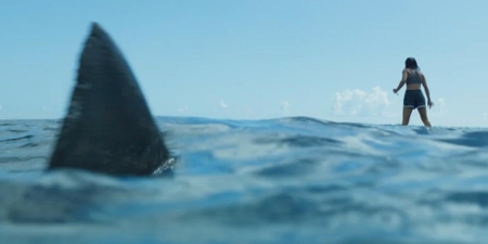 Netflix has just added a new shark movie perfect for Under Paris fans