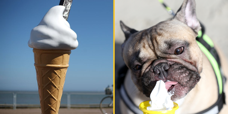 People are only just finding out why ice creams with flakes are called 99s