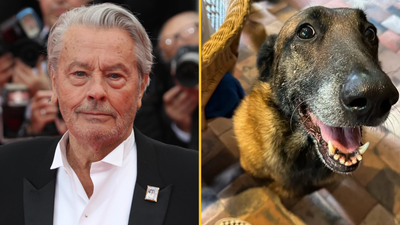 Family of late French actor refuse his final wish to have his dog euthanised