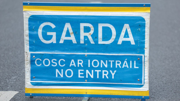 Roscommon crash
