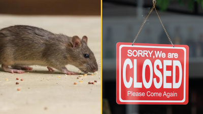 Popular Dublin food spot receives closure order for ‘active rodent infestation’