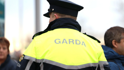 Man left with ‘serious injuries’ following brutal Dublin dog attack