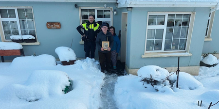 Gardaí praised after using tractor to get prescriptions to elderly couple trapped by snow
