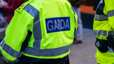 Man in Donegal dies after tree falls on car during Storm Éowyn