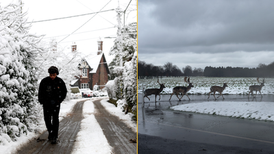 Met Éireann highlights the exact date the weather will change as warnings remain in place