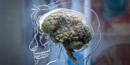 Cause of Alzheimer’s might be coming from inside your mouth, scientists find