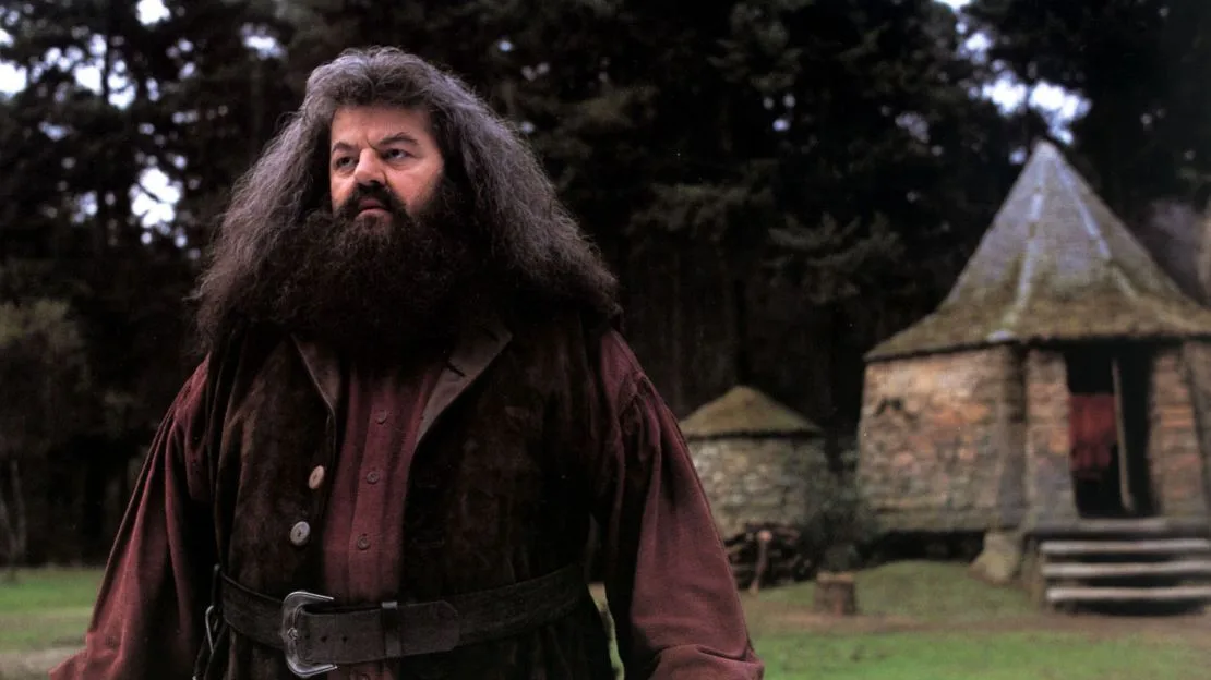 British comedy legend set to play Hagrid in Harry Potter series