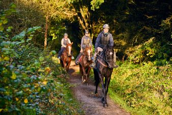 Three days in Tipperary: Bike, horse-ride and step back in time