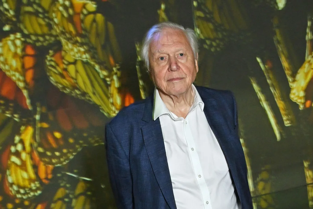 David Attenborough says he is ‘approaching the end of his life’