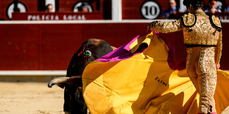 Heartbreaking final words of matador gored to death by bull revealed