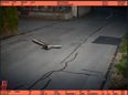 Duck caught on traffic camera breaking speed limit could be repeat offender