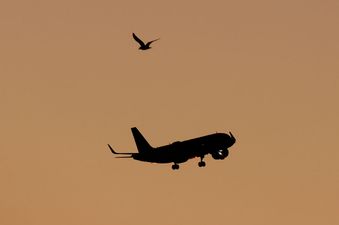 Airlines are preparing for nuclear war amid international conflicts