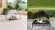 Aldi bringing back popular pet range to keep your dogs cool this summer