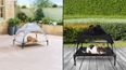 Aldi bringing back popular pet range to keep your dogs cool this summer
