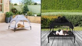 Aldi bringing back popular pet range to keep your dogs cool this summer