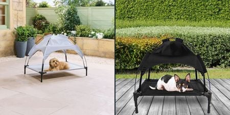 Aldi bringing back popular pet range to keep your dogs cool this summer