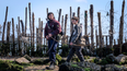 Gory moment cut from ‘thrilling’ new sequel over censor/studio pushback, says director