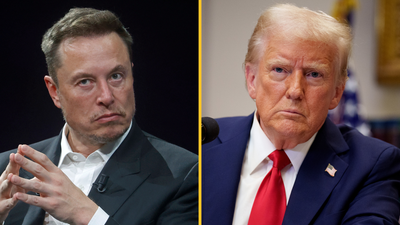 Elon Musk says Donald Trump is in the Epstein files